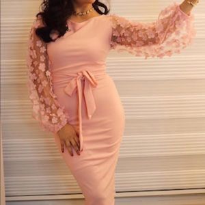 Pink Dress w/ Floral Mesh Sleeve